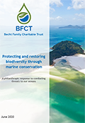 image for file - BFCT-strategic-reviewF-1