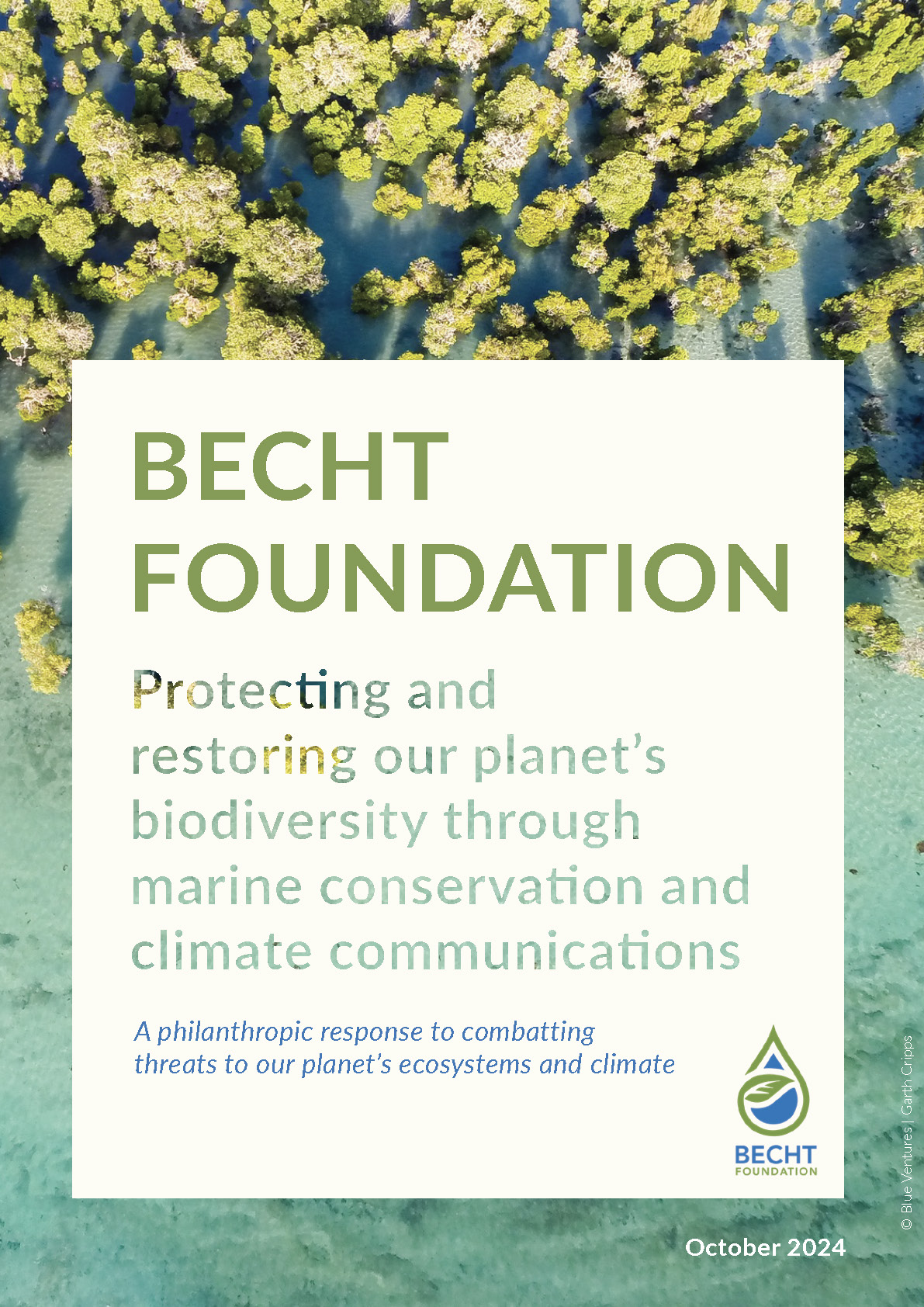 image for file - Becht_Foundation_Strategic_Overview