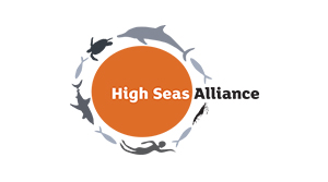 High Seas logo